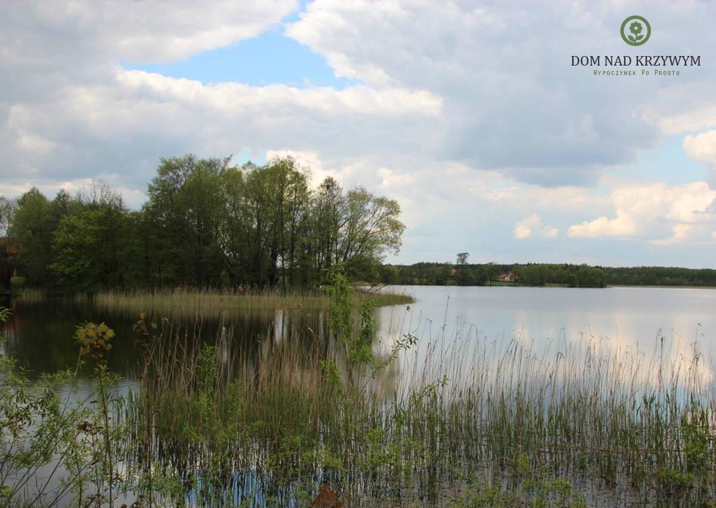 Dom Nad Krzywym - Prywatna Plaza, 2 Boiska, Sauna, Plac Zabaw Krzywe  Buitenkant foto